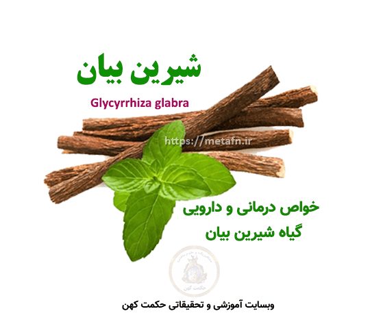 خواص درمانی و دارویی شیرین بیان Glycyrrhiza glabra