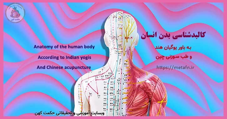 کالبدشناسی بدن انسان به باور یوگیان هند و طب سوزنی چین